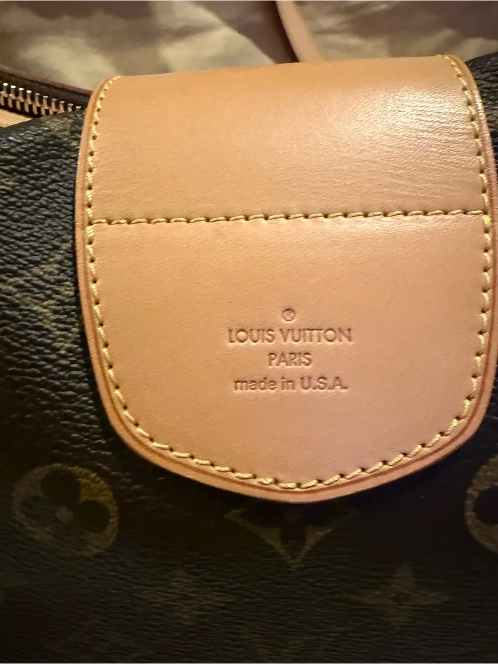 Louis Vuitton this bag
